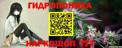 МДПВ Лесосибирск