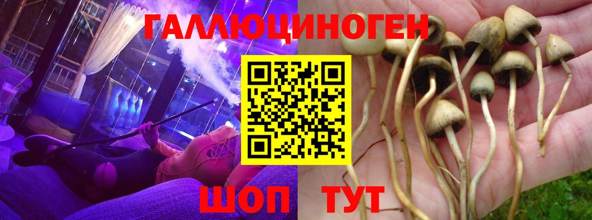Галлюциногенные грибы прущие грибы Димитровград