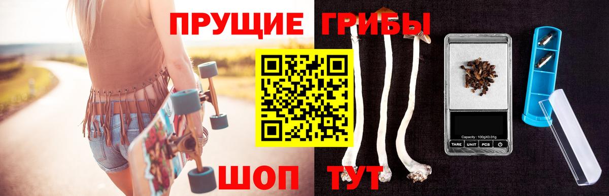 Галлюциногенные грибы прущие грибы  Вход с VPN  как найти закладки  Димитровград 